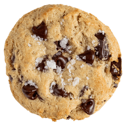 Chocolate Chip